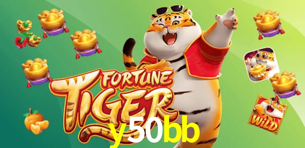 Experiência VIP y50bb